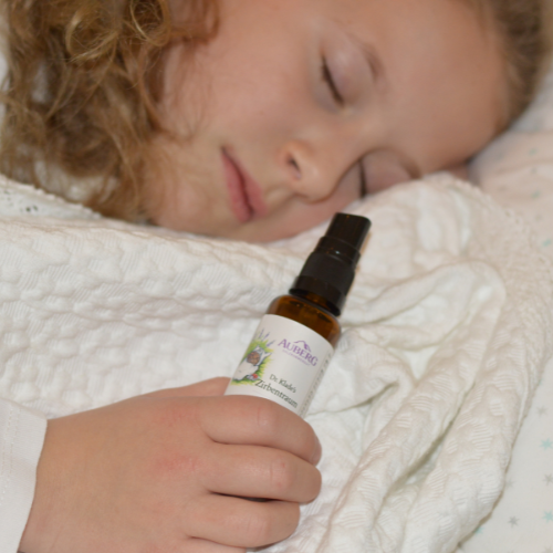 Wichtelapotheke Immunsystem