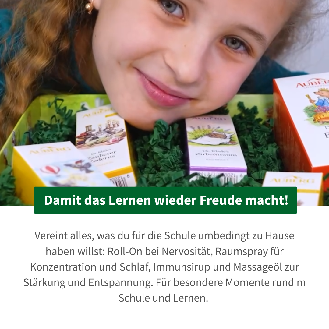 Schulstart-Bundle
