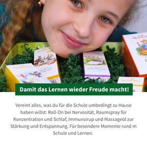 Schulstart-Bundle